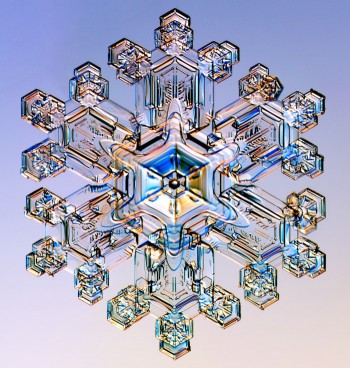 Snowflake, seen with a photomicroscope.
