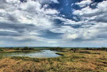 Paynes Prairie. Photo via Florida Department of Environmental Protection.